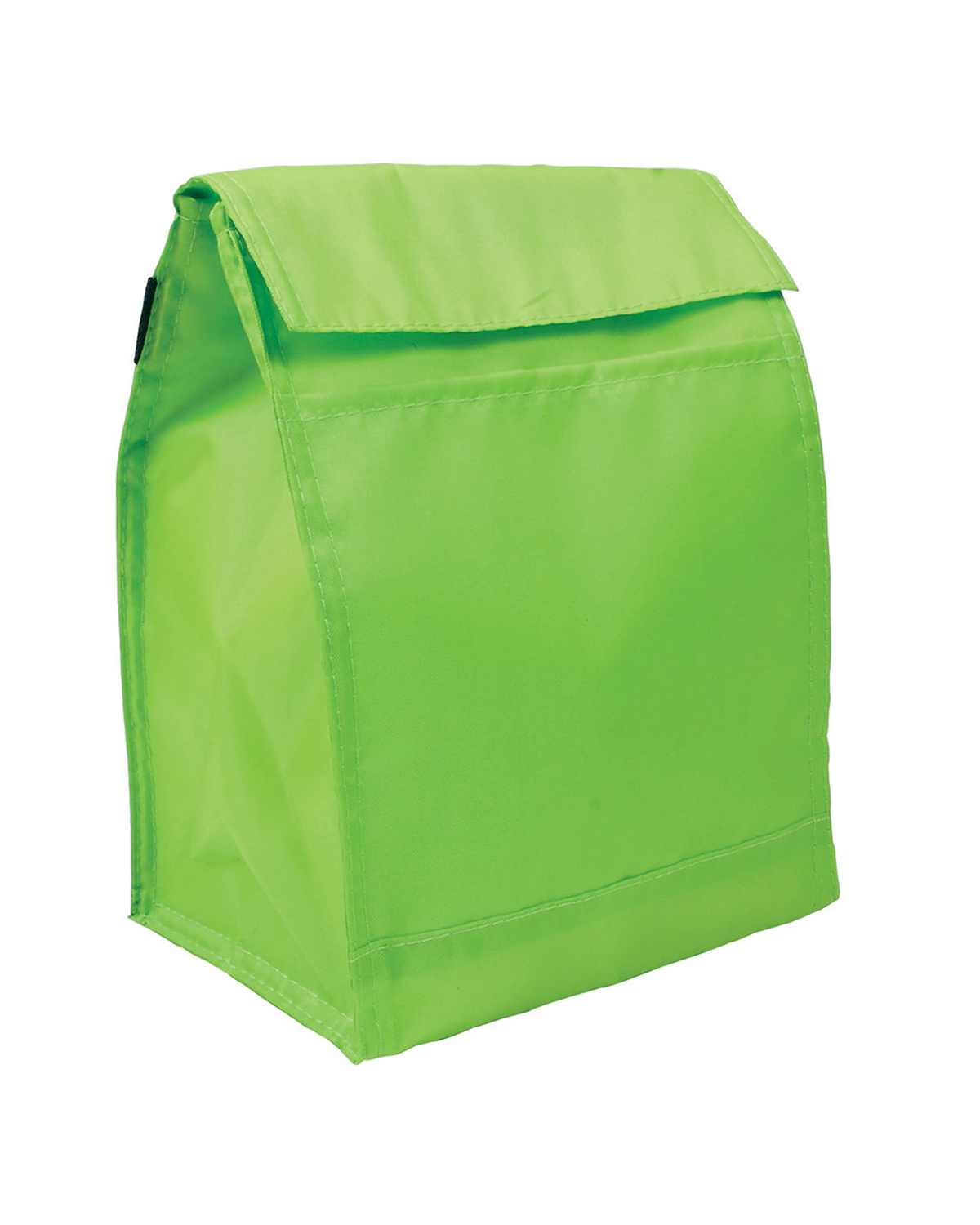 Budget Lunch Cooler Bag 19