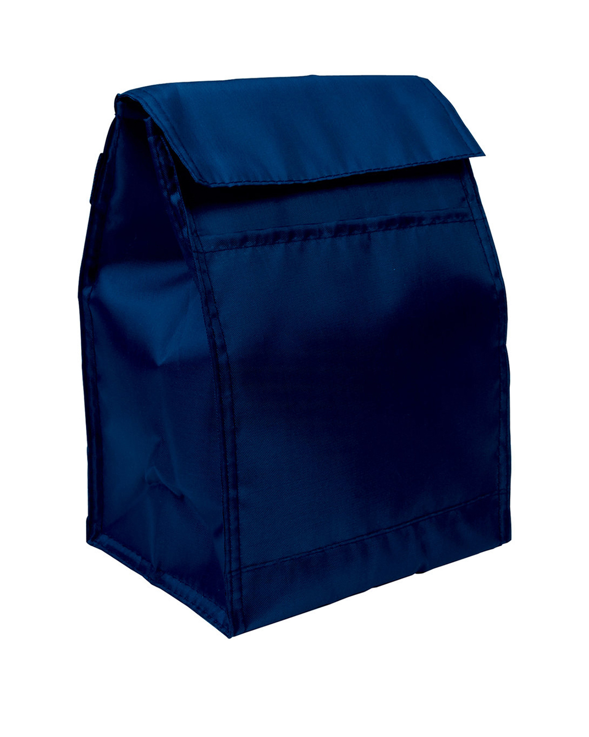 Budget Lunch Cooler Bag 20