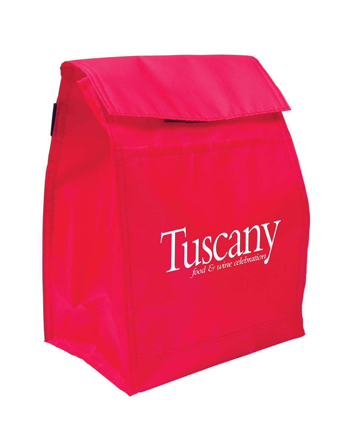 Budget Lunch Cooler Bag 16