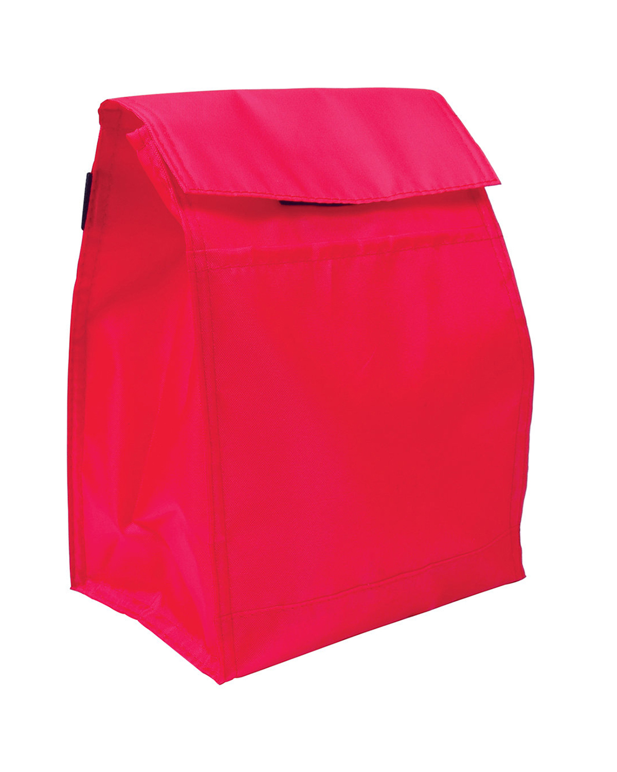 Budget Lunch Cooler Bag 21