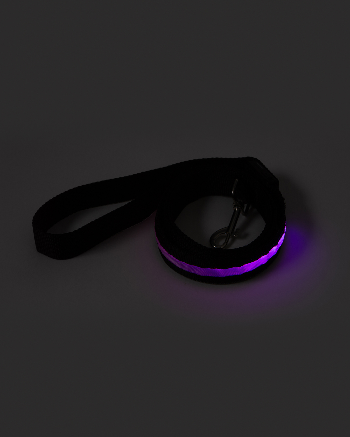 Rechargeable LED Light-Up Dog Leash 14