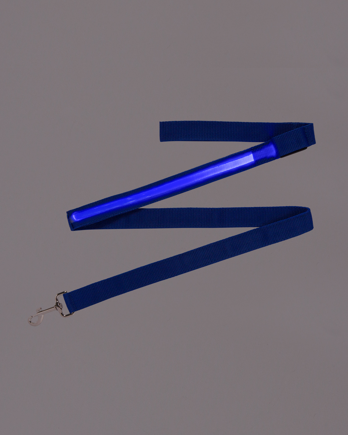 Rechargeable LED Light-Up Dog Leash 6