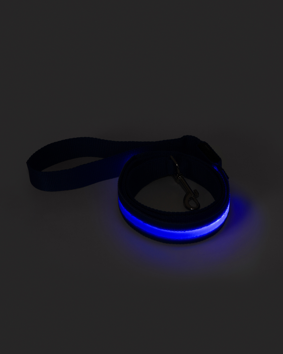 Rechargeable LED Light-Up Dog Leash 8