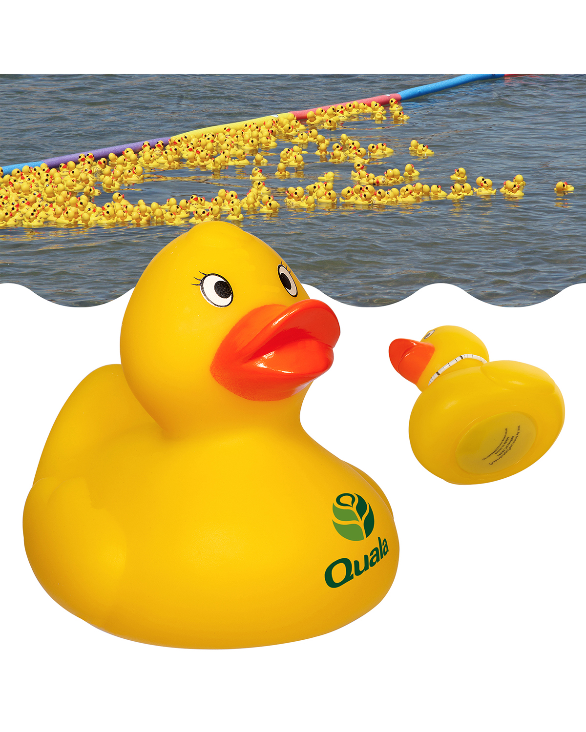 Weighted Racing Duck 11