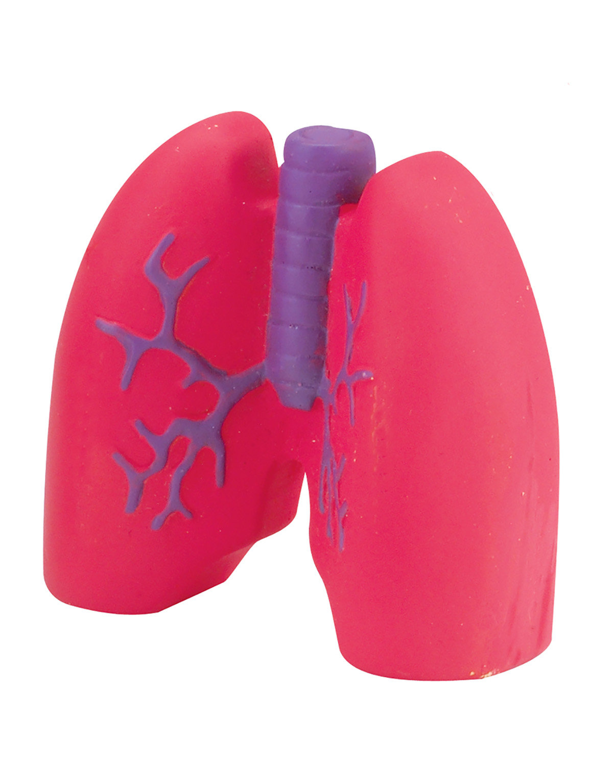 Lungs Shape Stress Ball 3