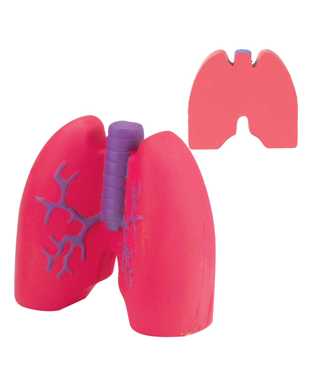 Lungs Shape Stress Ball 7